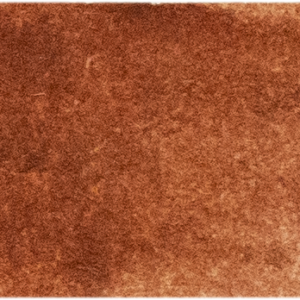 Michael Harding Watercolour W125 Burnt Sienna 15ml