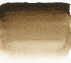205 Sen Artist watercolour Raw umber