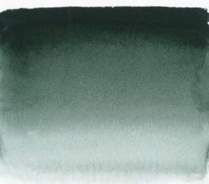 203 Sen Artist watercolour GreenishUmber