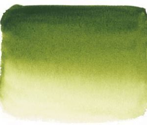 813 Sen Artist watercolour Olive Green