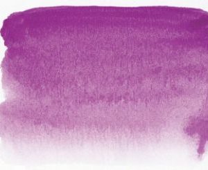 905 Sen Artist watercolour Violet red