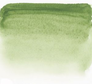 213 Sen Artist watercolour Terra Vert