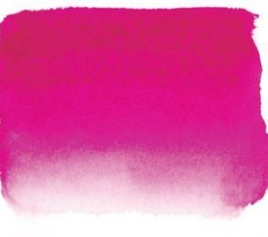 659 Sen Artist watercolour Opera Rose