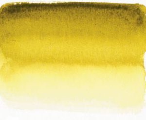 857 Sen Artist watercolour Brown Green