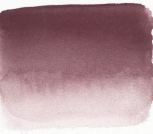 919 Sen Artist watercolour Caput Mortum
