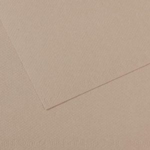 122 Gris Flanelle canson Mi-Teintes sheet