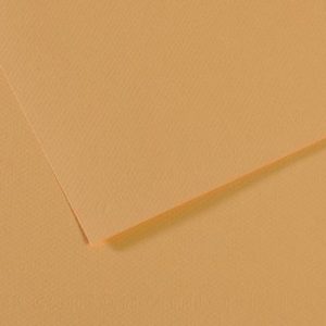 340 Chanvre Clair Canson Mi-Teintes sheet